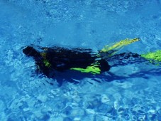 Duiken een grote droom? Met GoldenMoments kunt u kennis maken met de duiksport!