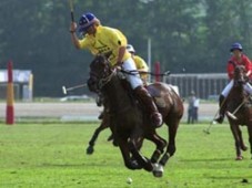 Polo Les (1 uur) Wassenaar