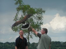 Roofvogel Workshop (3,5 uur) nu te boeken of leuk om cadeau te geven. Kijk snel bij GoldenMoments!