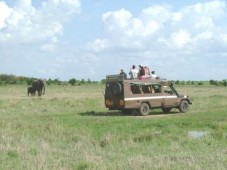 Safari in Kenia, Afrika