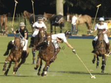 Polo Clinic Wassenaar
