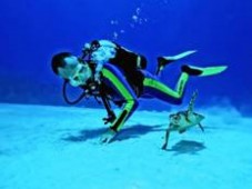 Duik introductie voor duiken in openwater. Maak ook kennis met de onderwatersport!