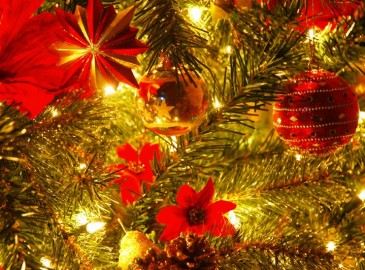 Exclusieve kerstcadeaus!