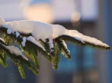 Ontspannen met kerstmis!