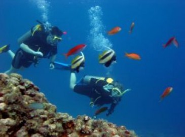 Zomer Experiences