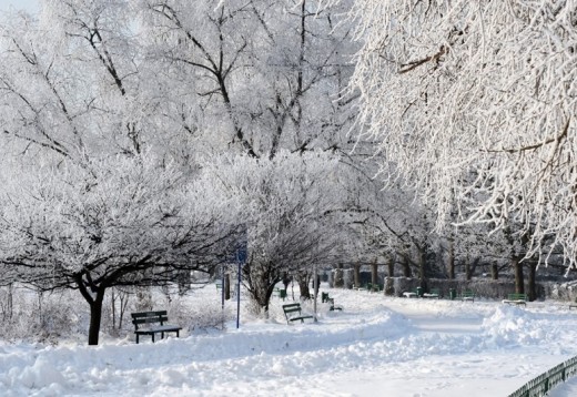 Winter belevenissen