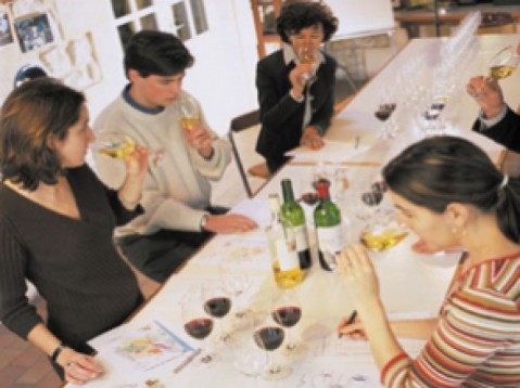 Ontdekking van wijn en olijfolie - Bouches-du-Rhône