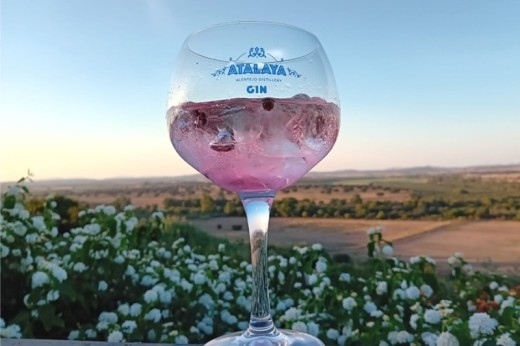 Workshop de Destilação de Gin
