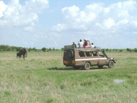 Safari in Kenia, Afrika