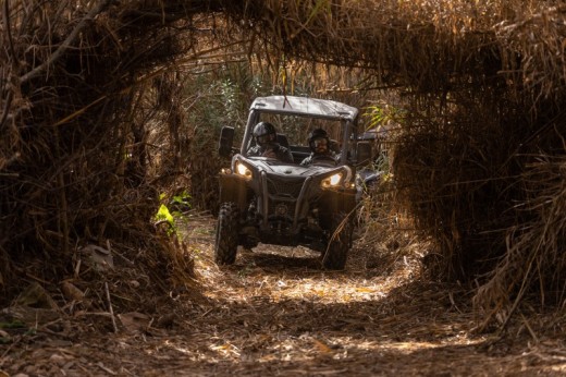 Tour de Buggy Off Road Algarve Profundo p/4 (3h00)