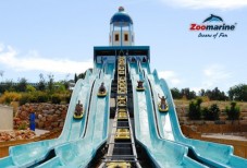 Swim with Dolphins in Portugal – Private Session for Two