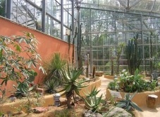 Hortus Botanicus Amsterdam Toegangsticket