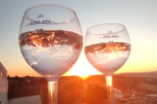 Workshop de Destilação de Gin