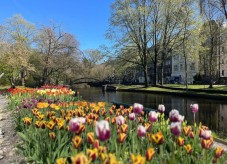 Hortus Botanicus Amsterdam Toegangsticket
