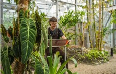 Hortus Botanicus Amsterdam Toegangsticket