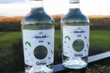 Workshop de Destilação de Gin