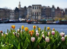 Amsterdam open boat tour