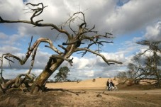 Het Nationale Park de Hoge Veluwe