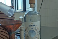 Workshop de Destilação de Gin