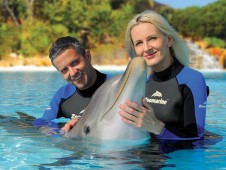 Swim with Dolphins in Portugal – Private Session for Two