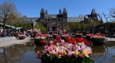 Segway-tour in Amsterdam voor 2