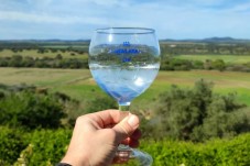 Workshop de Destilação de Gin