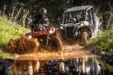 Tour de Buggy Off Road Algarve Profundo p/4 (3h00)
