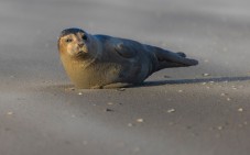 Wandelen Kwade Hoek