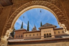 Las Ventas bullring and museum visit with audioguide
