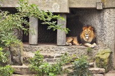 Artis Amsterdam Royal Zoo skip-the-line ticket