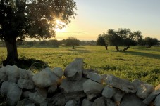 Soggiorno per coppia in Agriturismo 