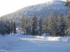 Sneeuwscooter besturen in Lapland