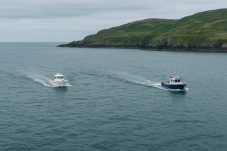 Dolphin and Whale Watching in Ireland (Family Ticket)
