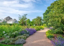 Royal Botanical Gardens London