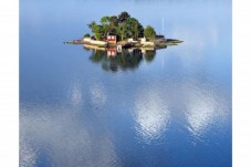 RIB Speedboat Seal Safari from Stockholm