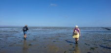 Schiermonnikoog Tocht