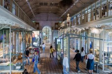 Tickets ARTIS-Groote Museum Amsterdam