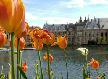 Culinary The Hague Adventure