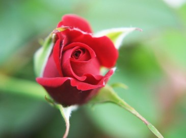 Valentijns cadeau
