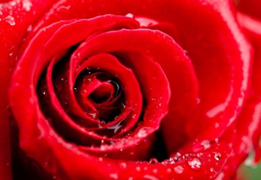 Valentijnsdag cadeaus voor haar